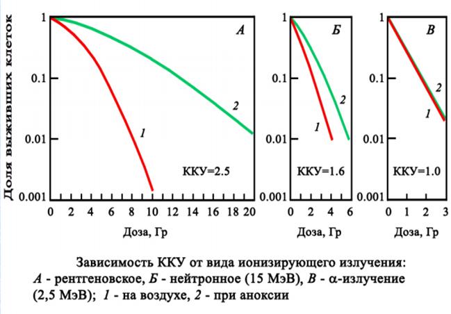 kku type